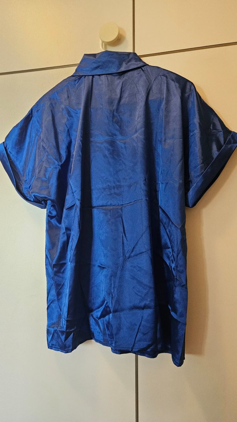 Blusen: Camicetta blu tg.L poliestere – Gebraucht aus Melano von H-Sara 1