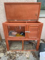 Meerschweinchengehege