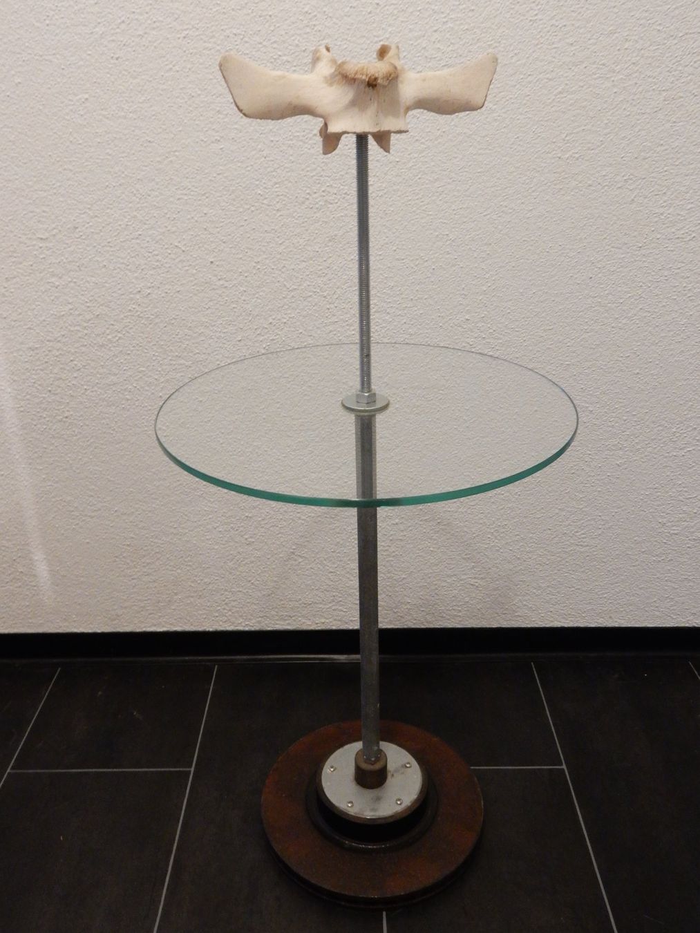 Tavoli: Couchtisch aus Glas, Metall und Knochen – Usato da Glarus venduto da Andynova 4