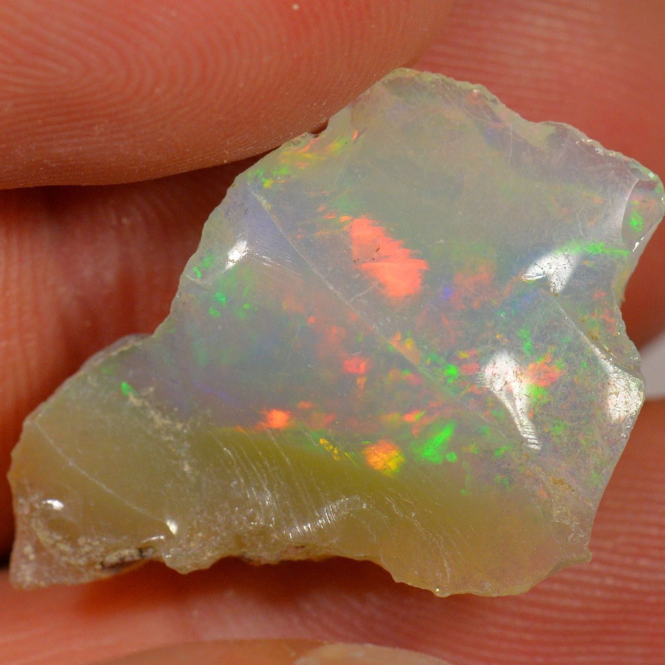 Pietre preziose: 12.9 Karat - Roher Äthiopischer Welo Opal – Nuovo (secondo la descrizione) da Rüti ZH venduto da DeinOpal 3