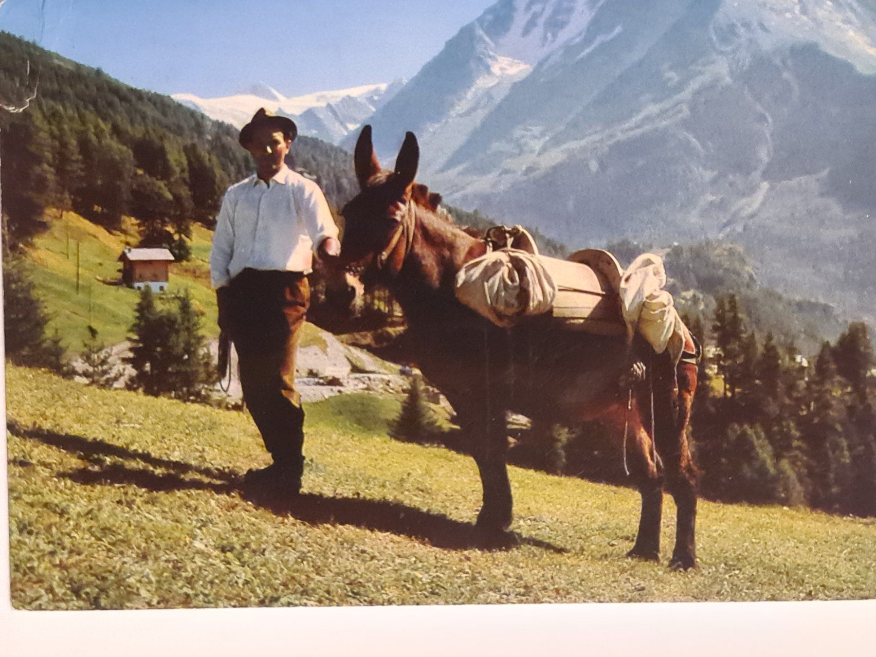Cartes postales: Ansichtskarte Val d'Hérens 1983 – D'occasion à Dintikon par Vexi