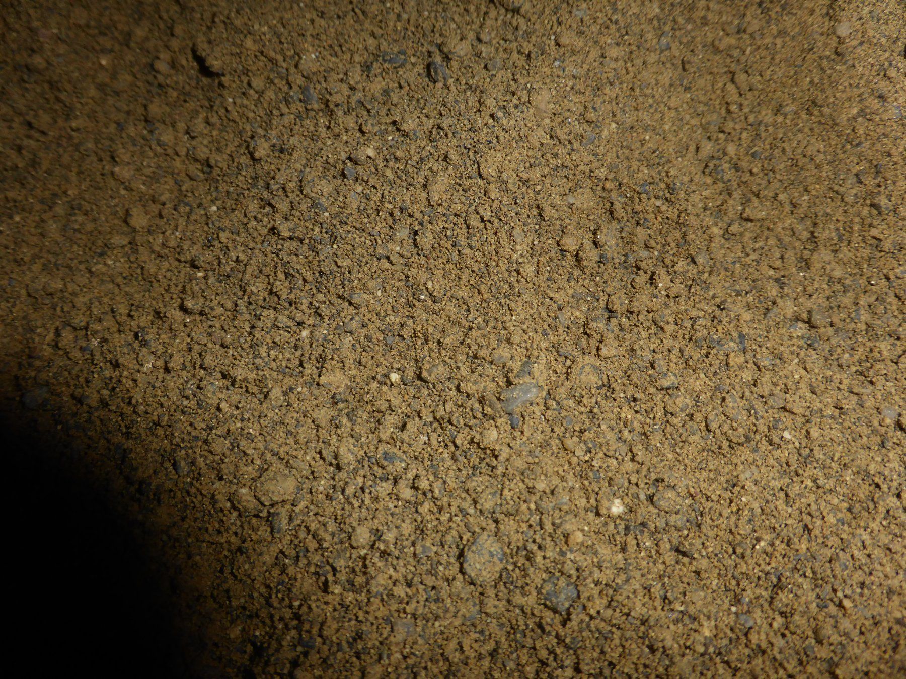 Sandkasten: Sand – Gebraucht aus Triengen von Nussbaum14 2