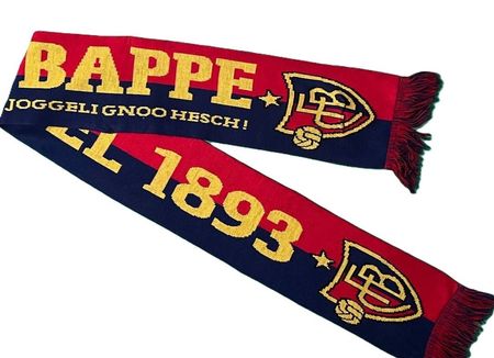 Seltener FC Basel Schal - Dangge Bappe - RARITÄT