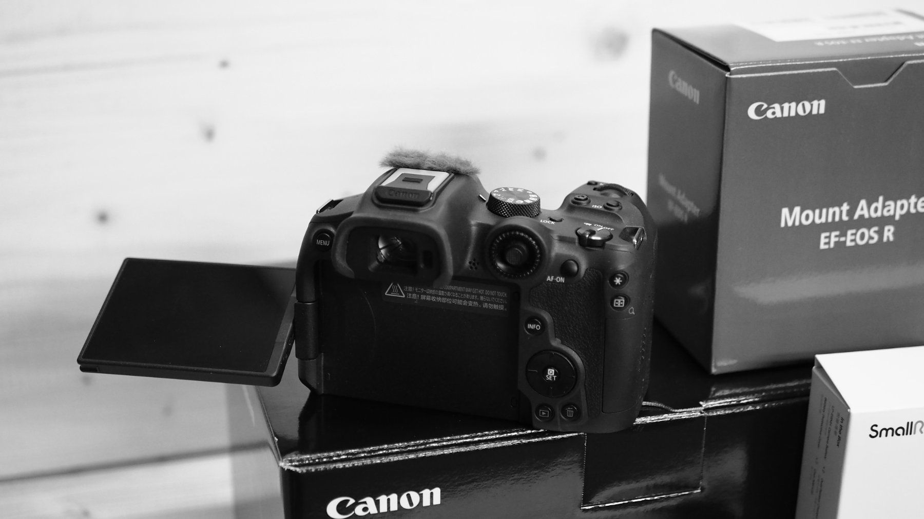 Canon Kamera: Canon R 7 – Gebraucht aus subingen von rumaxxx1 2