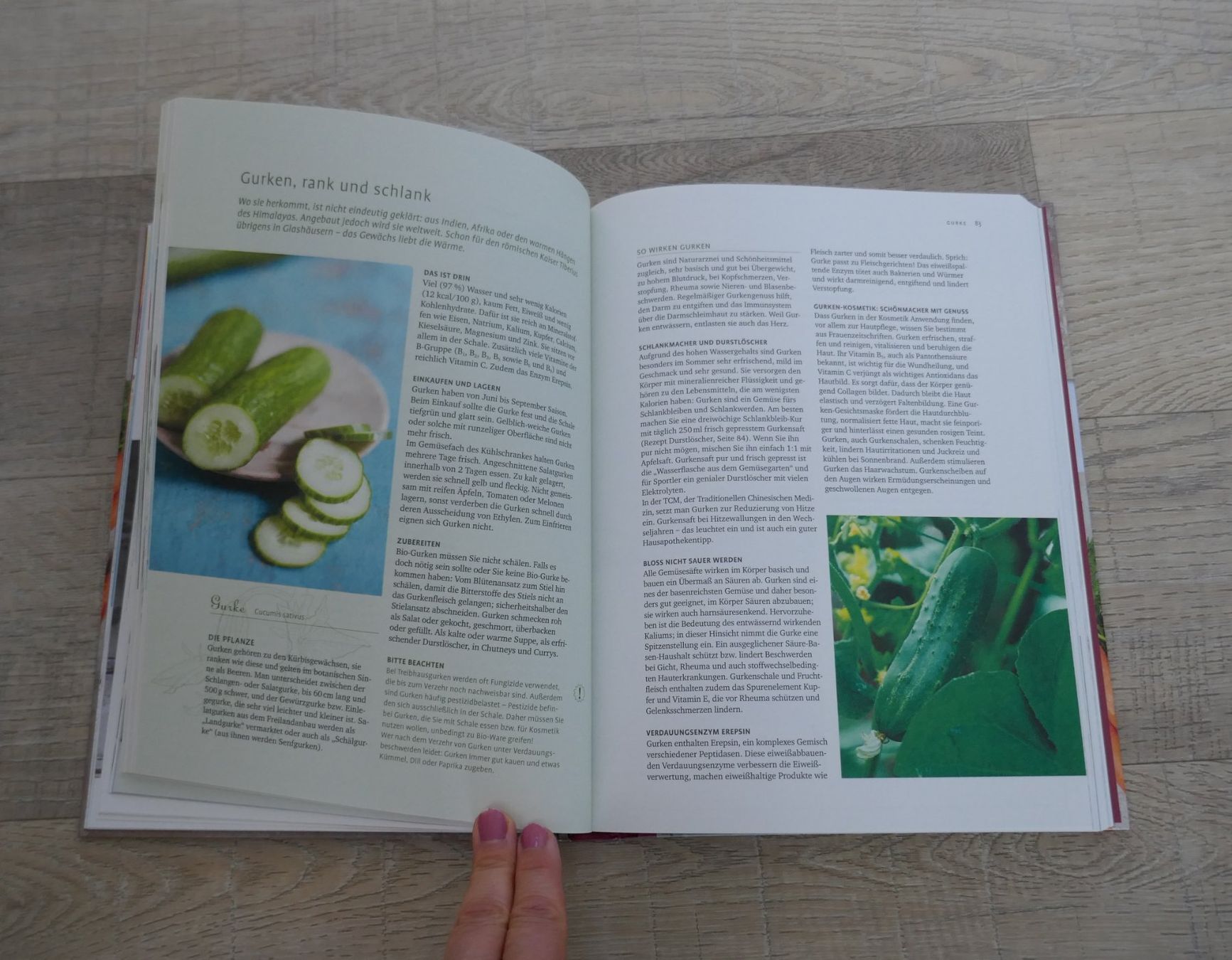 Libri: Heilkraft von Obst & Gemüse – Usato da Port venduto da uzuku 4