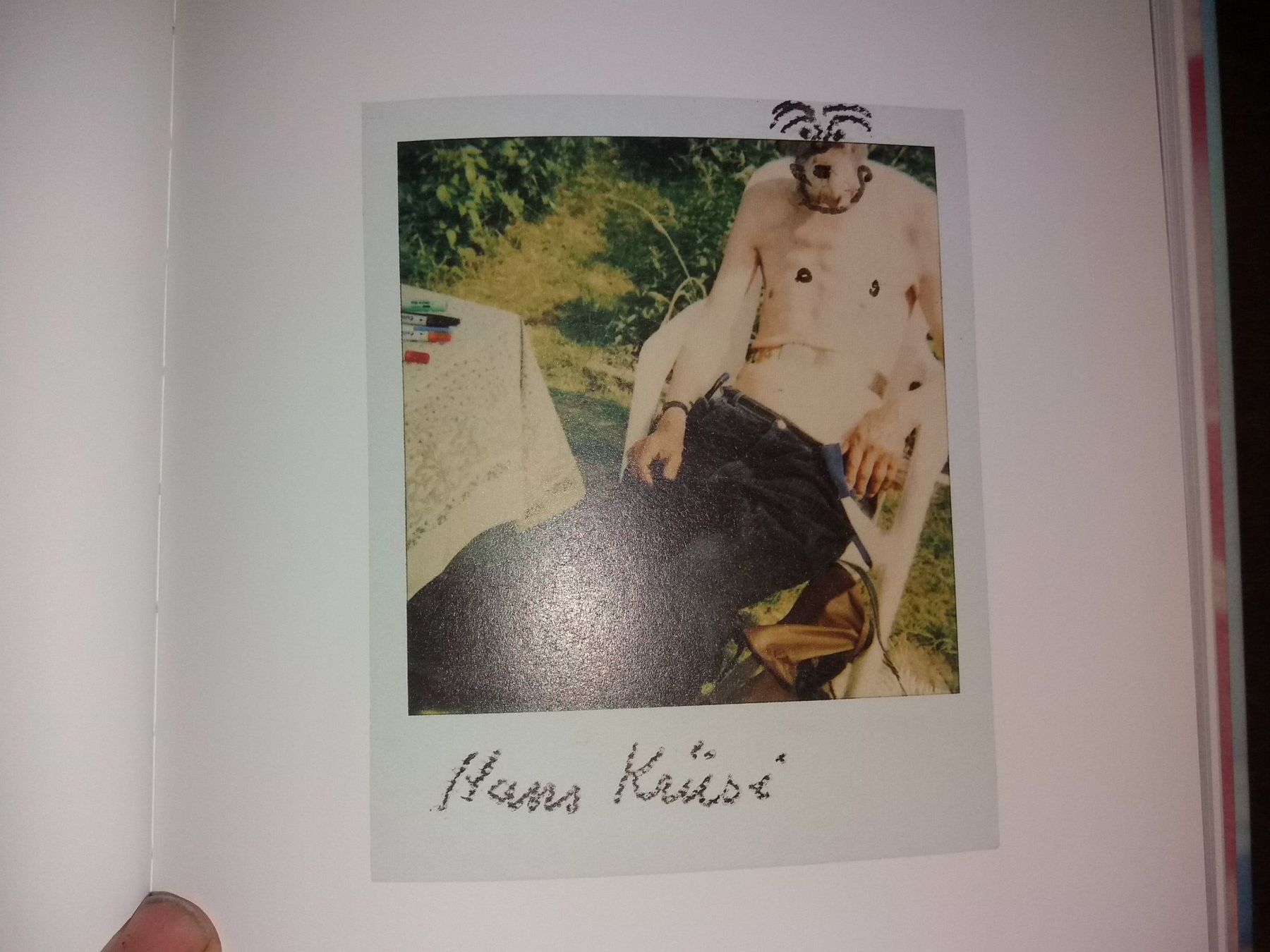 Bücher: KUNSTKLASSIKER Hans Krüsi selten – Gebraucht aus Welschenrohr von Regool 3