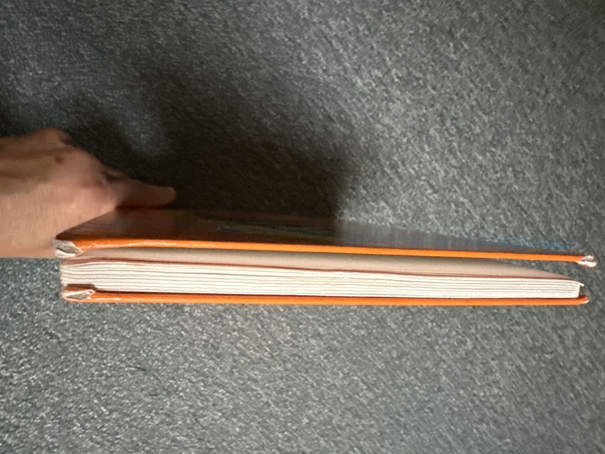 Libri: Büchertrio – Usato da Baltschieder venduto da YmroBe 1