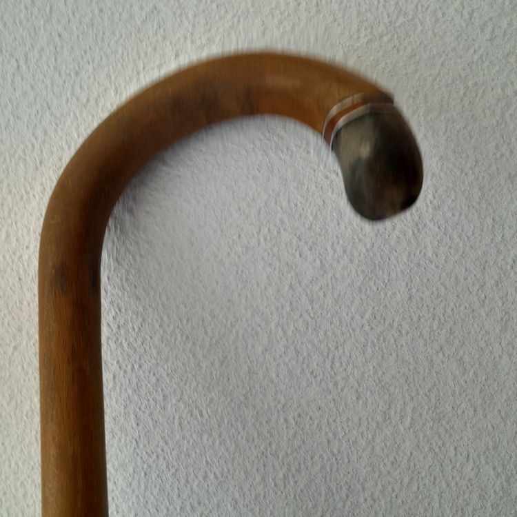 Antike Spazierstock mit Horn (Gebraucht) in Bern für CHF 95 – nur ...