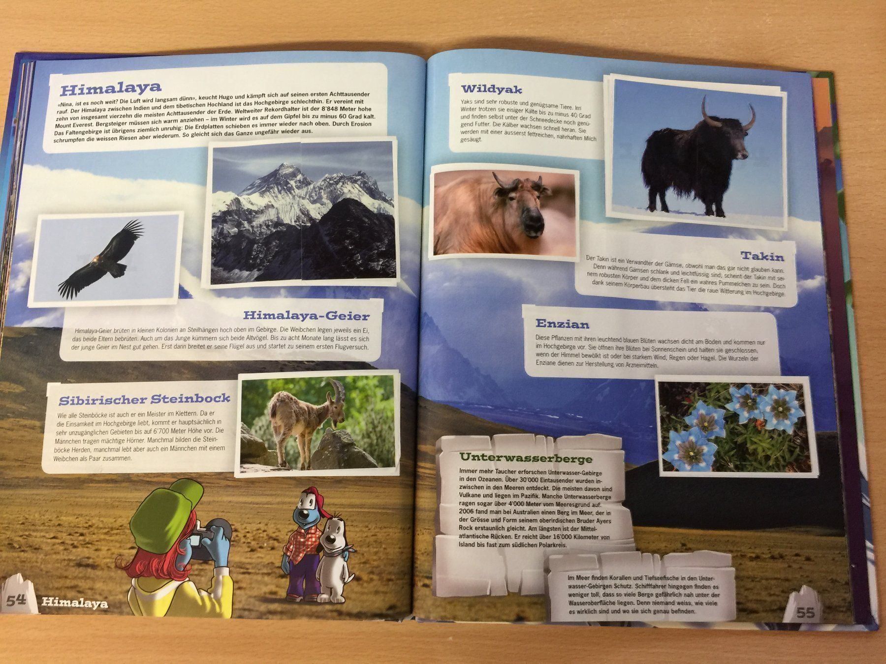 Libri: Mountainmania Abenteuer Bergwelt WWF – Usato da Glattfelden venduto da cybermaxx 7