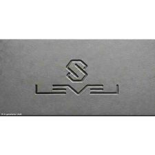 Profile image of s-level