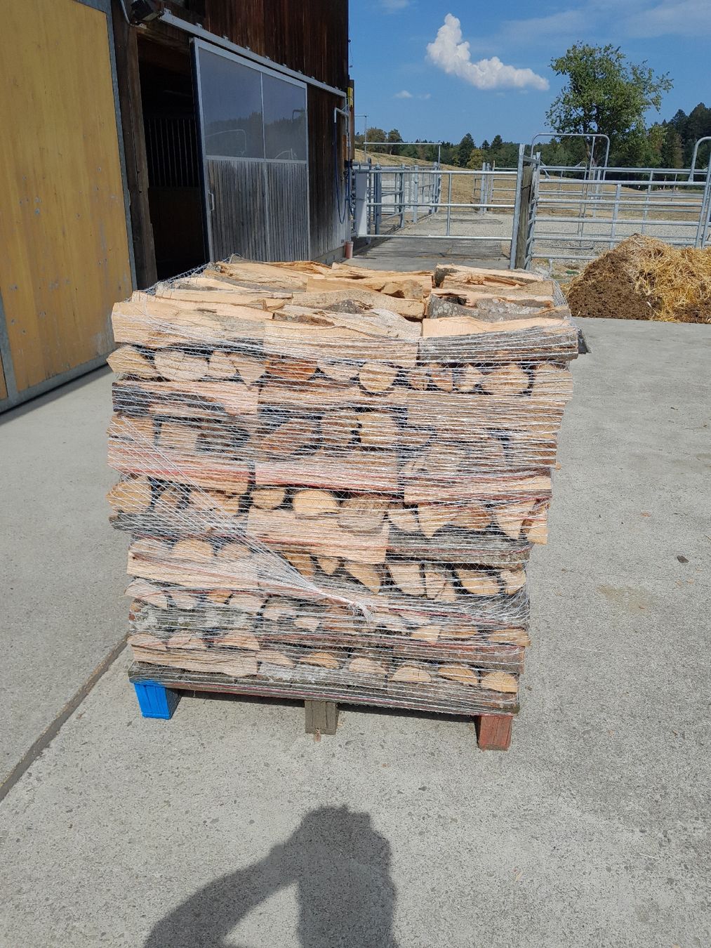 Holzartikel: Brennholz Buche – Neu (gemäss Beschreibung) aus Schlierbach von haflinger66