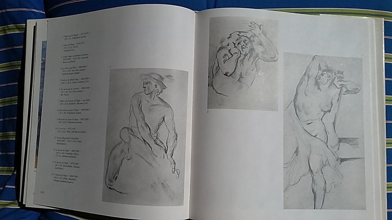 Libri: Cézanne von Lionello Venturi, Skira 1978 – Usato da Zollikerberg venduto da Dogon 7
