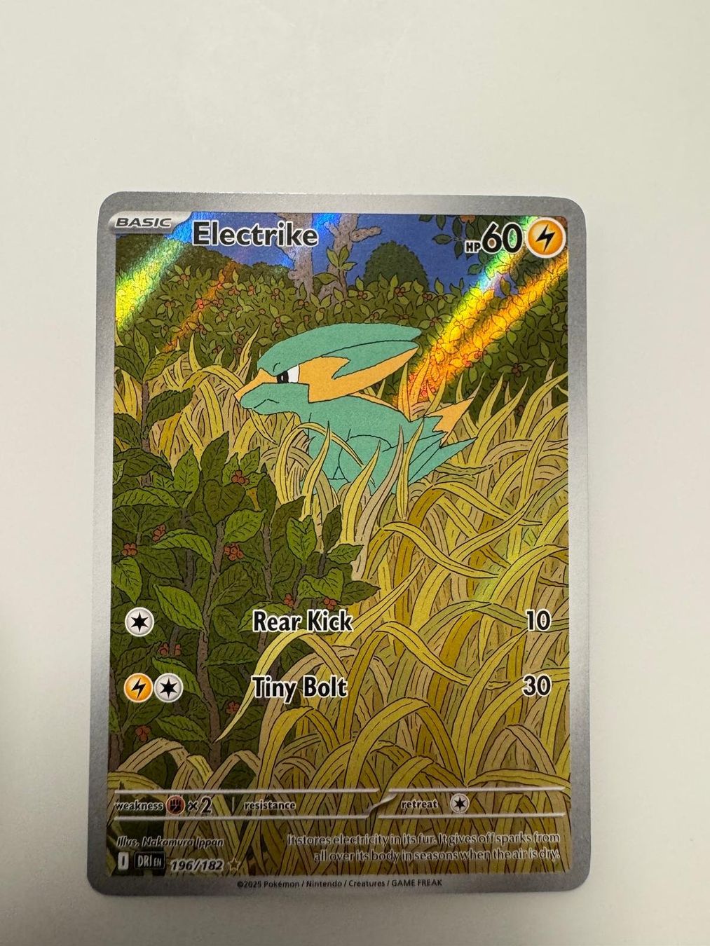 Pokémon Sammelbilder & Trading cards: Electrike | Illustration Rare | DRI 196/182 | EN – Gebraucht aus Spreitenbach von Snacky96 2