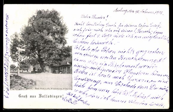 Cartes postales: AK Bollodingen, Straßenpartie mit großem Baum und Wegweiser – D'occasion à Berlin par bartko-reher
