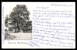 AK Bollodingen, Straßenpartie mit großem Baum und Wegweiser