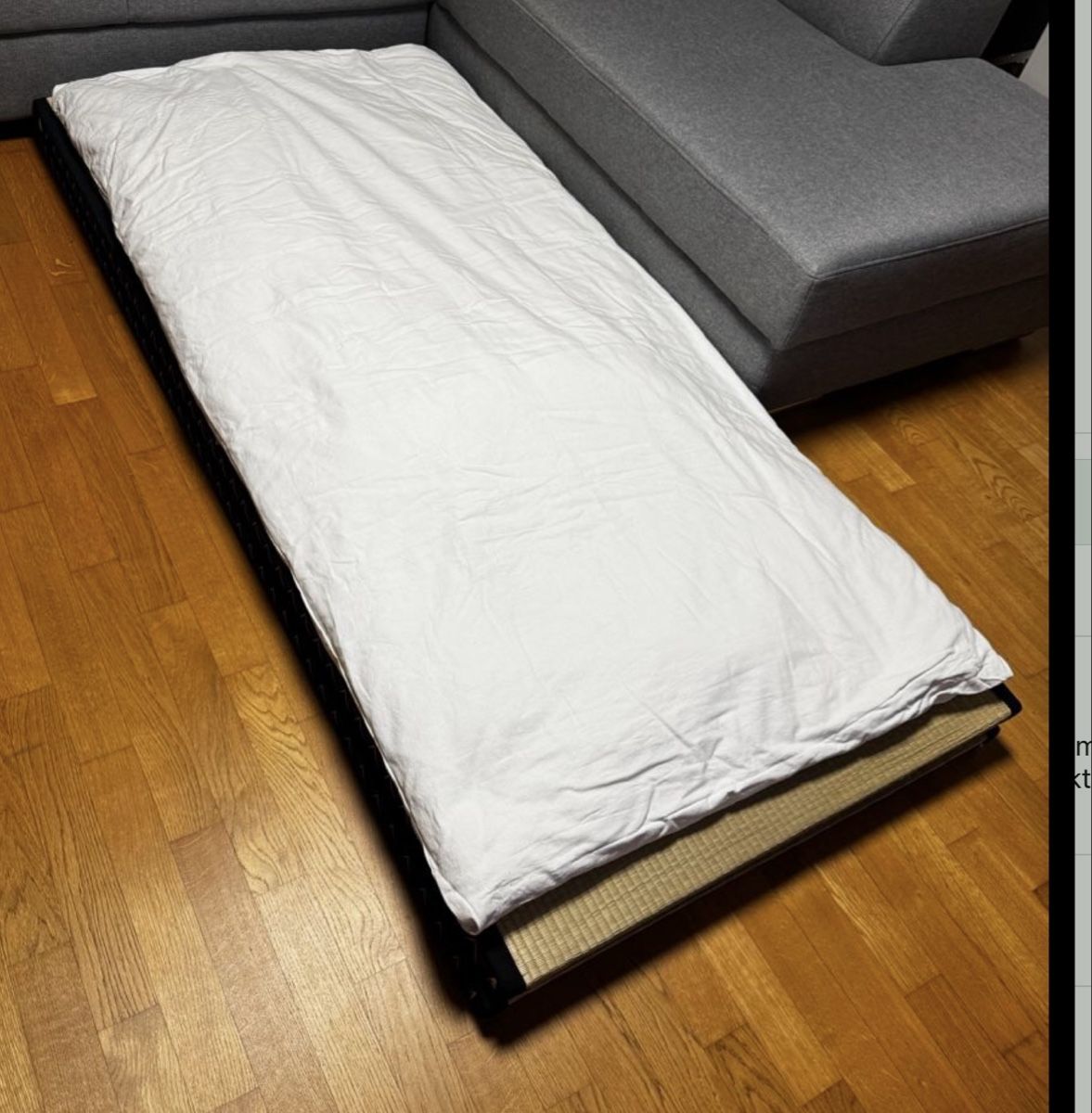 Tapis de sol: Shiatsumatte – D'occasion à Solothurn par Sumsum770 1