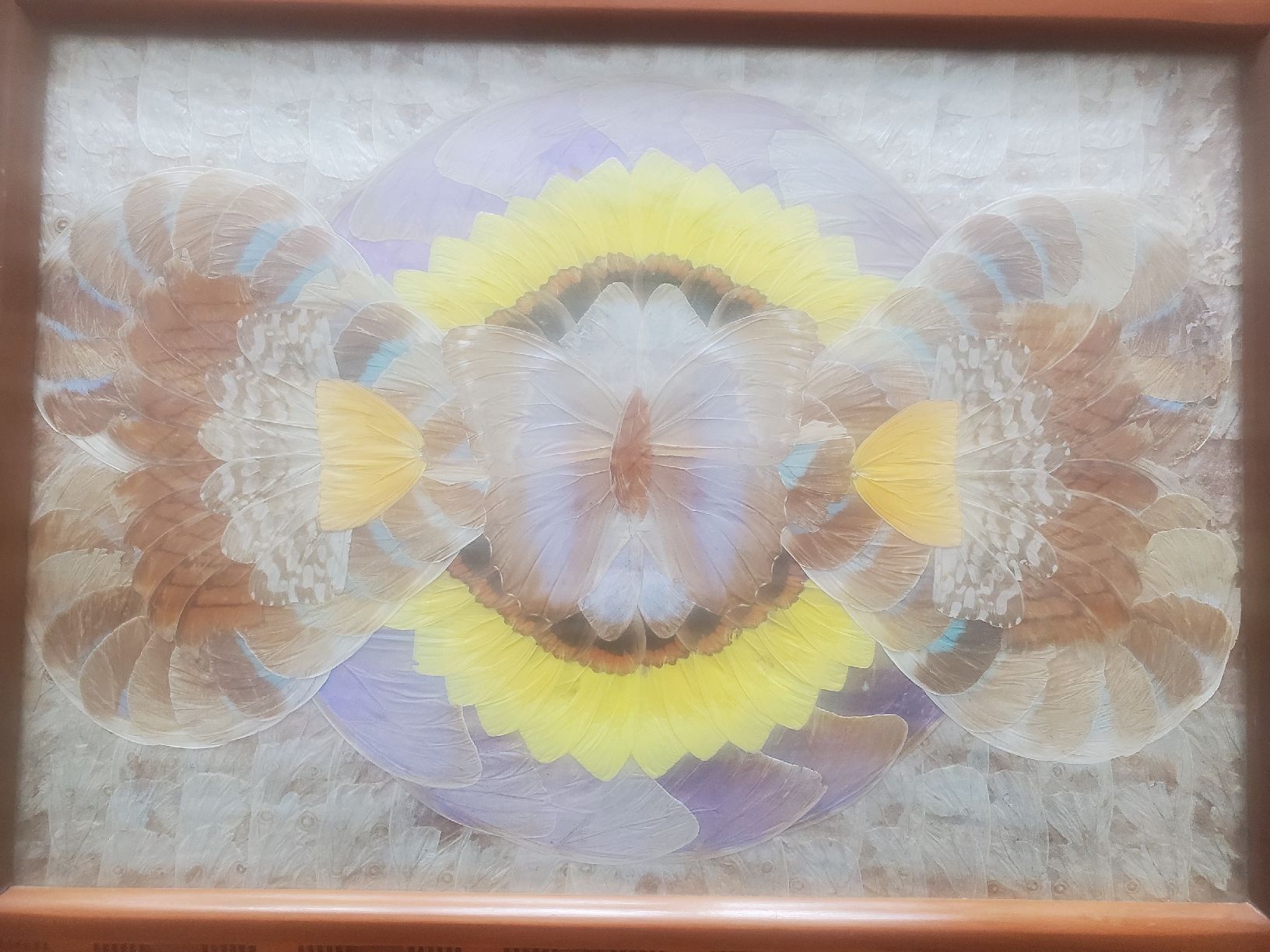 Dessous de verre: Antikes Schmetterlingsflügel-Tablett – D'occasion à Frauenfeld par BeneFull 1