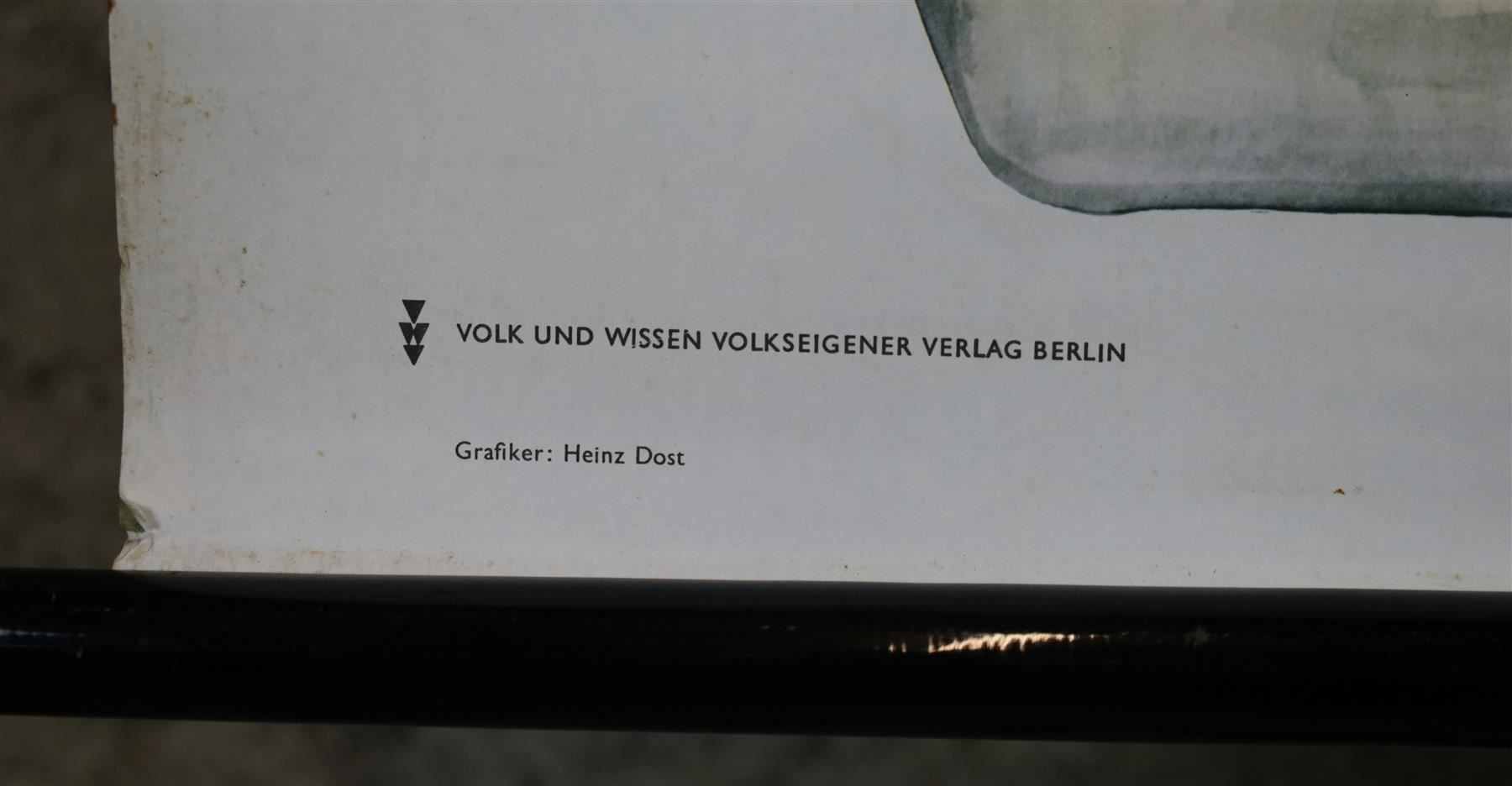 Foto & Immagini: Schulwandbild "Die Zelle" – Usato da Birrwil venduto da brandschatz_birrwil 2