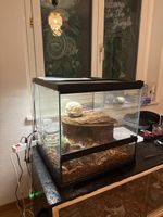 Exo Terra Glass Terrarium + Hygro system with Accessories