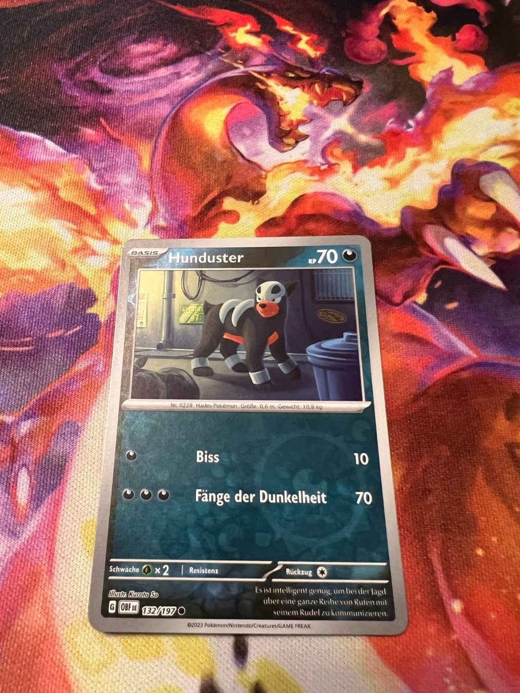 Pokémon Carte collezionabili: Hunduster (OBF 132) / Reverse Holo / Obsidianflammen – Nuovo (secondo la descrizione) da Bülach venduto da CherryBlu