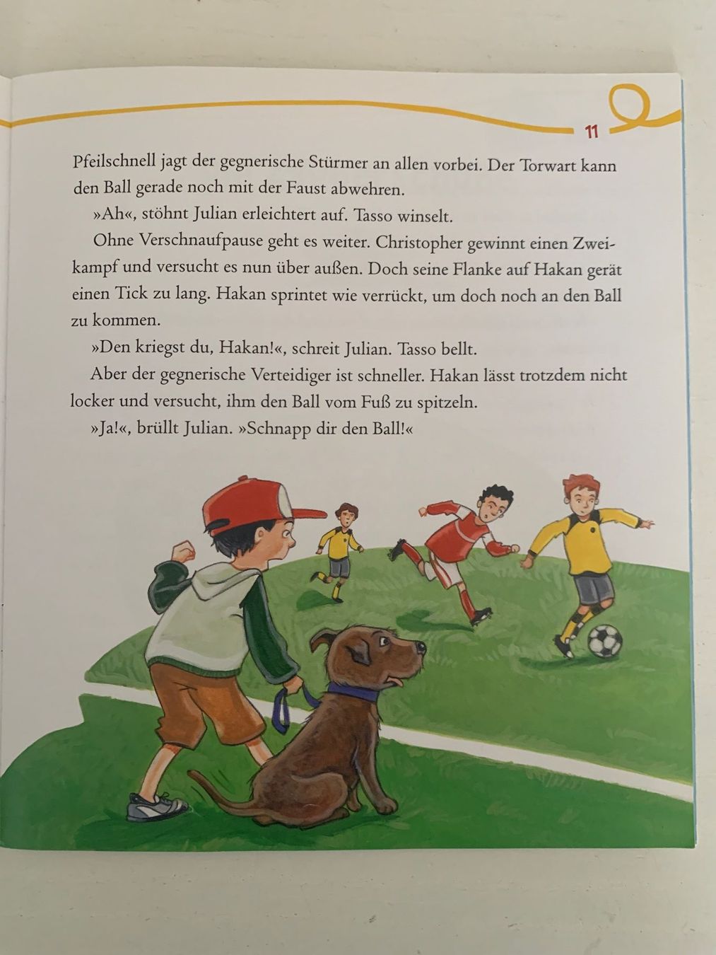 Libri: 6 Fussballgeschichten "Schnapp dir den Ball!" – Usato da Bonstetten venduto da cerberusdvd 2