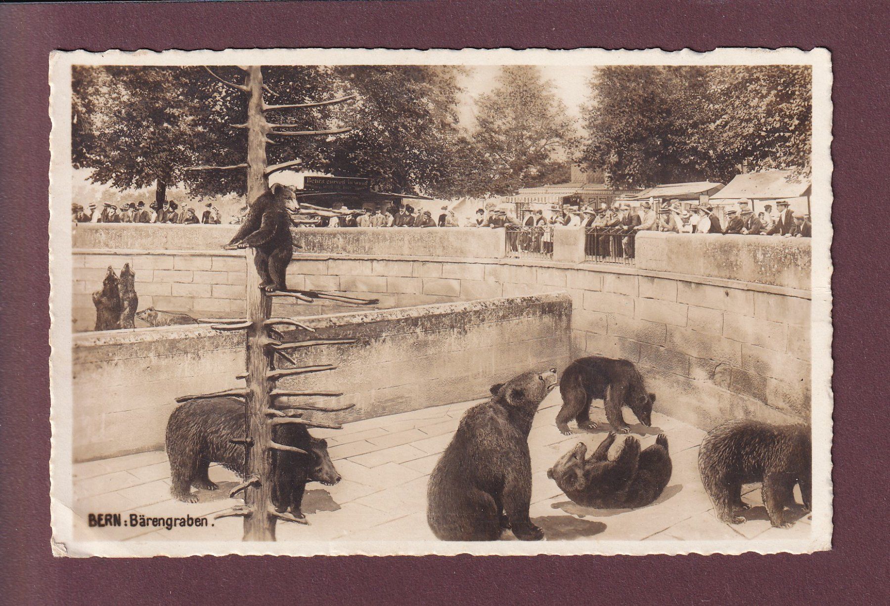 Cartoline postali: BERN - Bärengraben - 1930 // Eckbug // – Usato da Pully venduto da nicecards