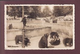 BERN - Bärengraben - 1930 // Eckbug //