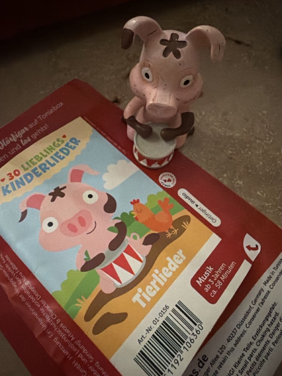 Audiolibri: Kinderlieder Tonie – Usato da Basel venduto da RausindieNatur 1