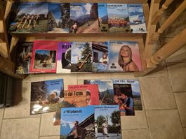 Schallplatten Konvolut Schweizer Musik verschiedene Titel