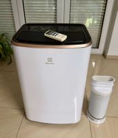 Electrolux Chill Flex Pro Gold (Cooling Capacity 2600W)