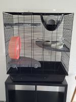 Cage pour rongeurs