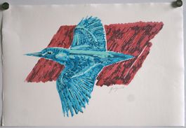 Eisvogel von Otto Spalinger