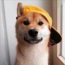 Profile image of ChristianB09