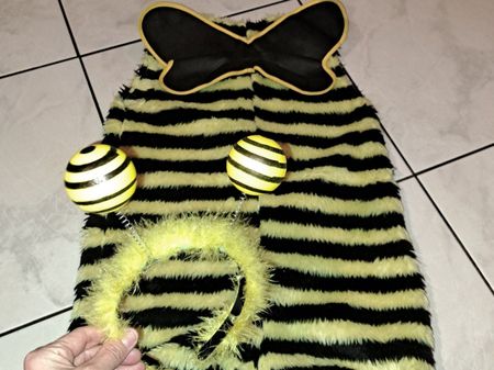 Fasnacht Kostüm Biene