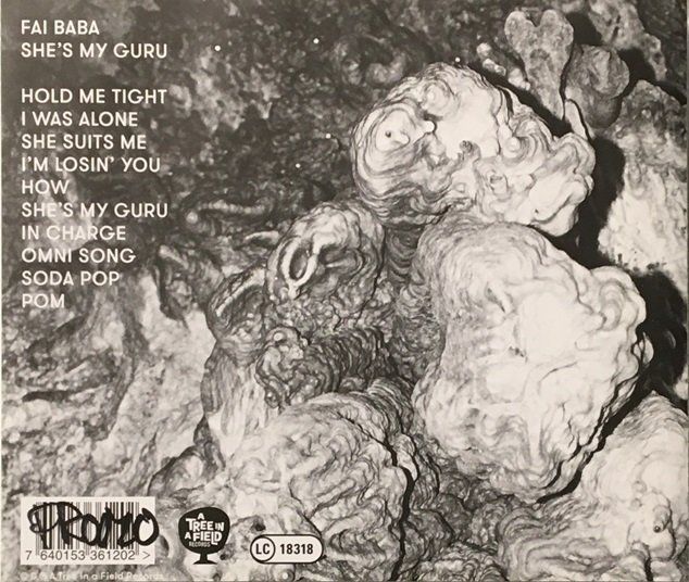 CD: Fai Baba – She's my Guru – Usato da Grüningen venduto da azulgris 1