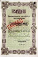 Baumwollspinnerei Lengenfeld i. V. AG, Lengenfeld - 1921