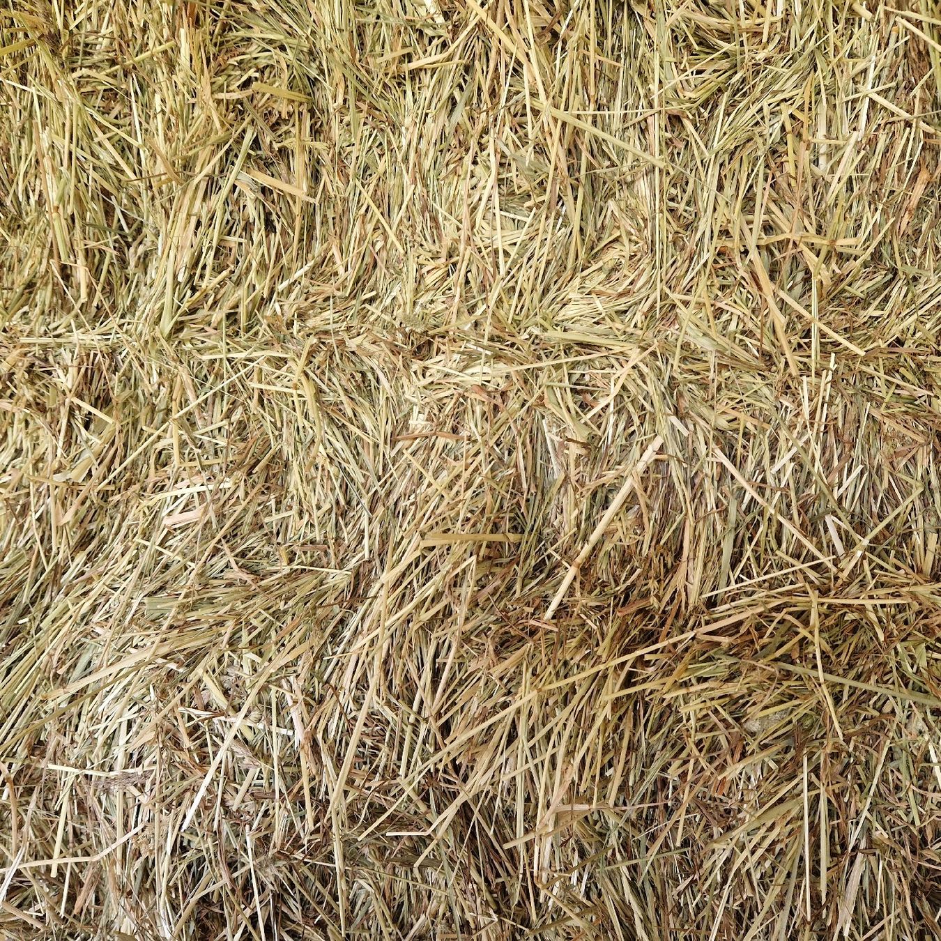 Futter: Heu/ Pferdeheu – Neu und originalverpackt aus Büren SO von baschi87 1