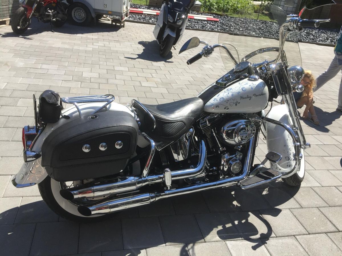 Harley-Davidson Chopper: Harley Davidson FLSTN 56kw – Usato da Oberweningen venduto da Bumblebee2