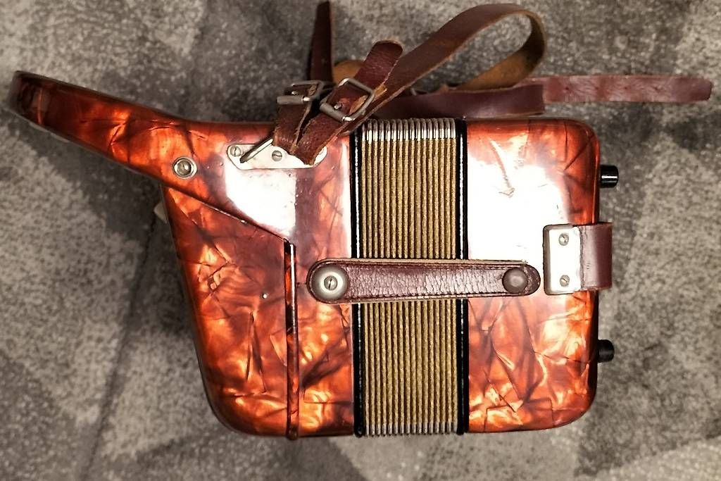 Strumenti musicali: Akkordeon Piccolo Hohner – Usato da Steinach venduto da Tsgweh 2
