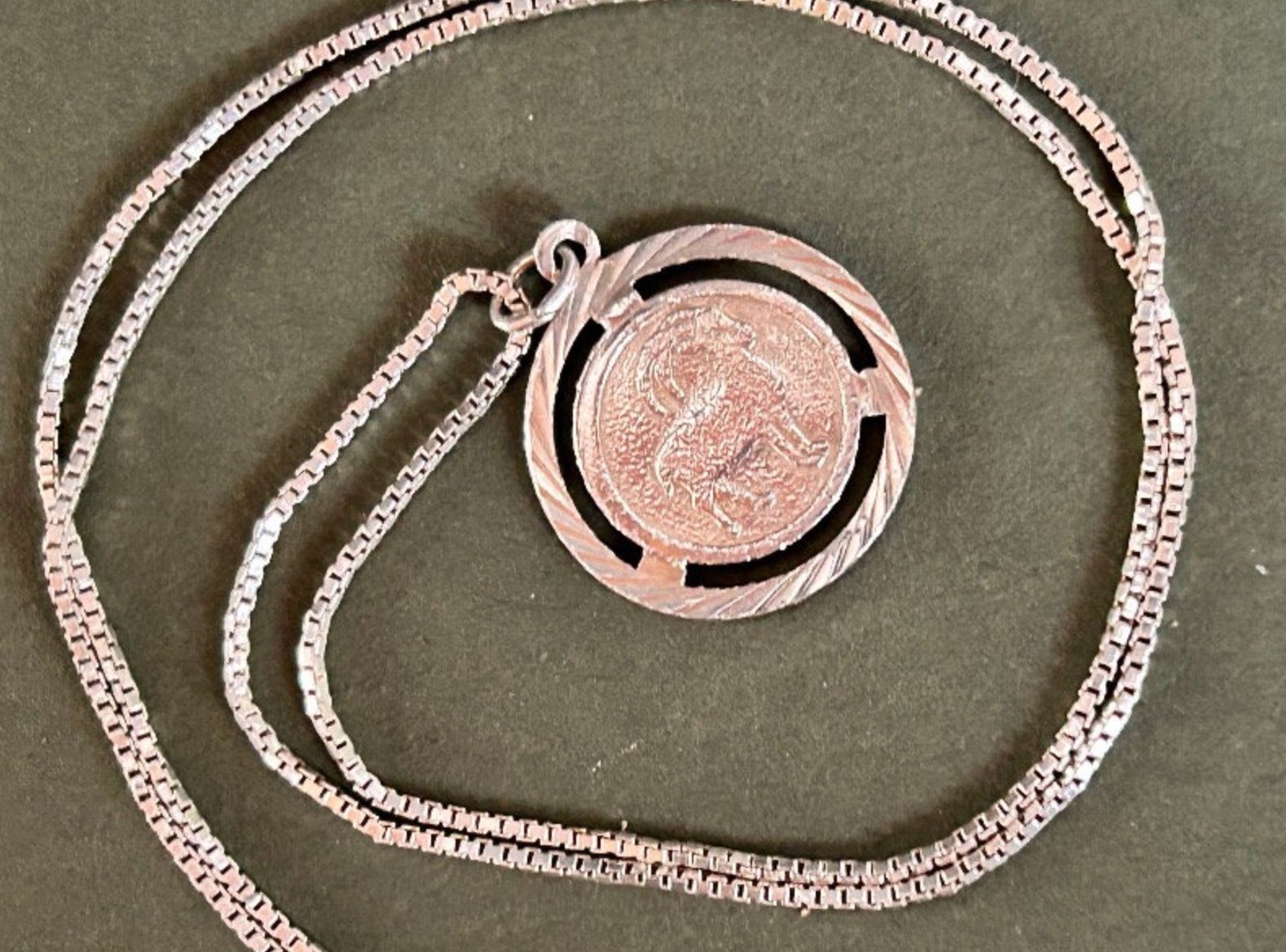 Catenine: Kette Steinbock Silber – Usato da Basel venduto da bellespirit 7
