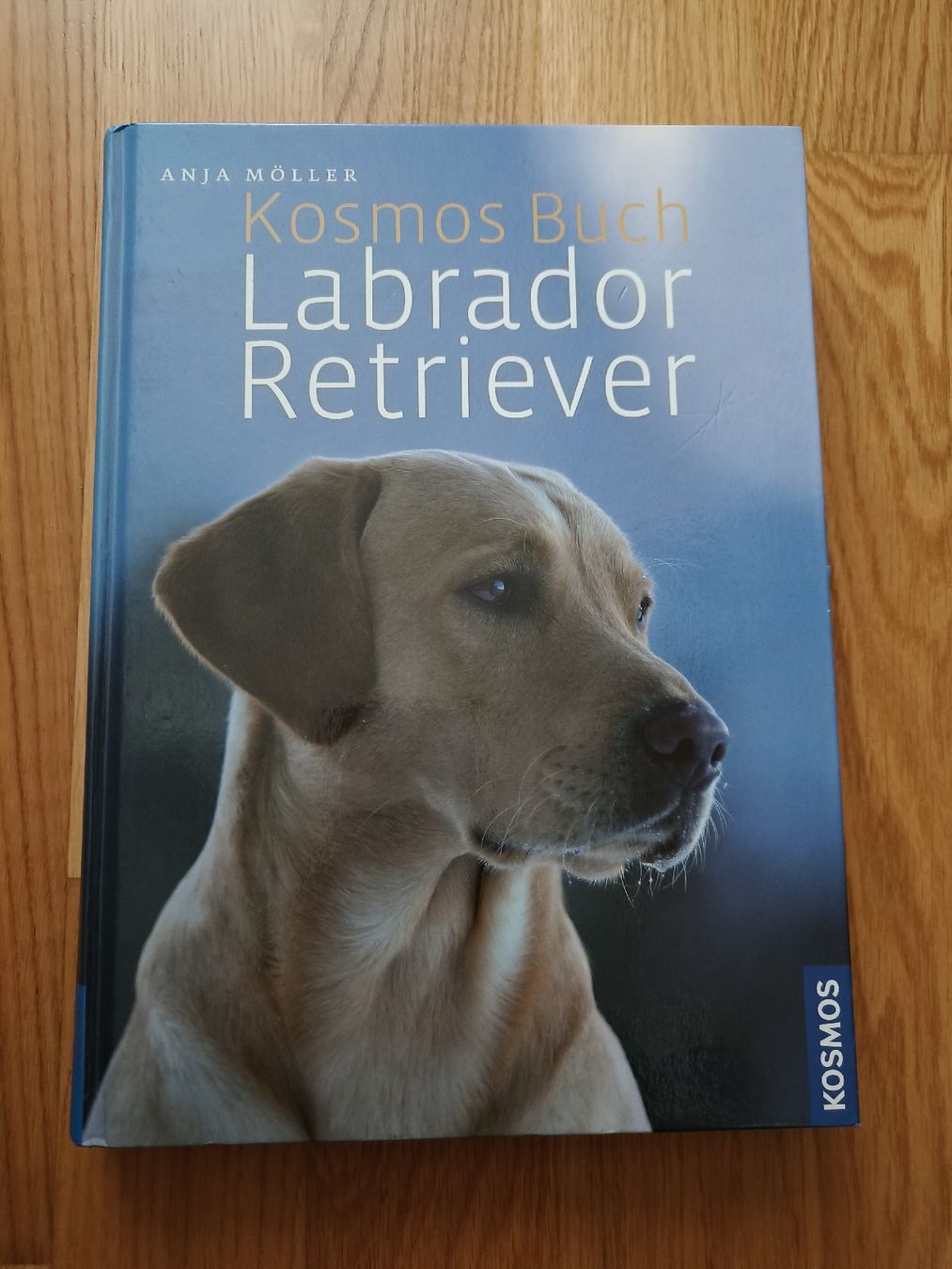Libri: Kosmos Buch, Labrador/ Retriever – Usato da Dietlikon venduto da Dietlikon_Verkauf