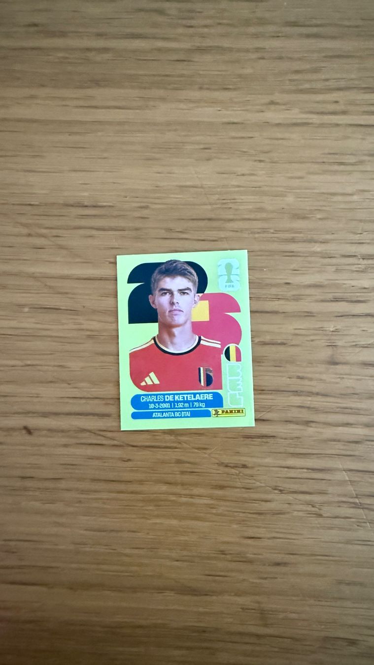 Panini Carte collezionabili: Panini Sammelbilder – Nuovo (secondo la descrizione) da Zürich venduto da shopping.basket 7