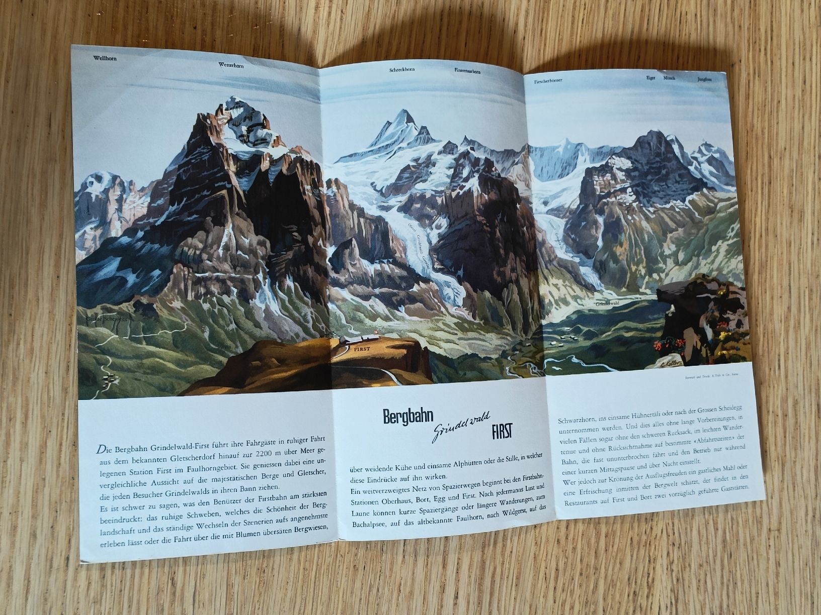 Documenti: Alter Prospekt / Bergbahn Grindelwald First Ausgabe ca. 1950 – Usato da Brugg AG venduto da Ente015 1