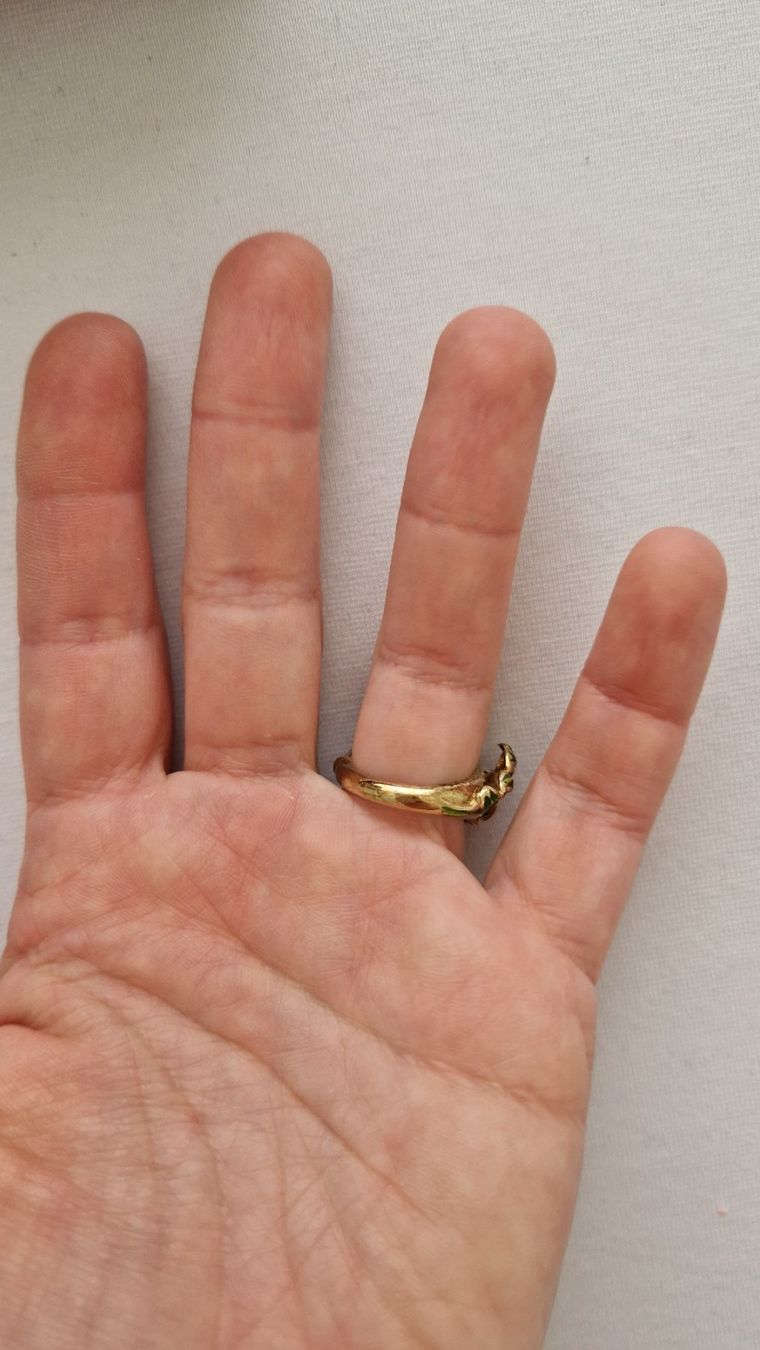 Anelli: Ring Fisch Halbedelsteine – Usato da Erlinsbach SO venduto da ULIKH 3