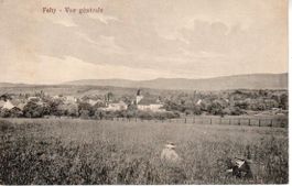 Fahy  1919