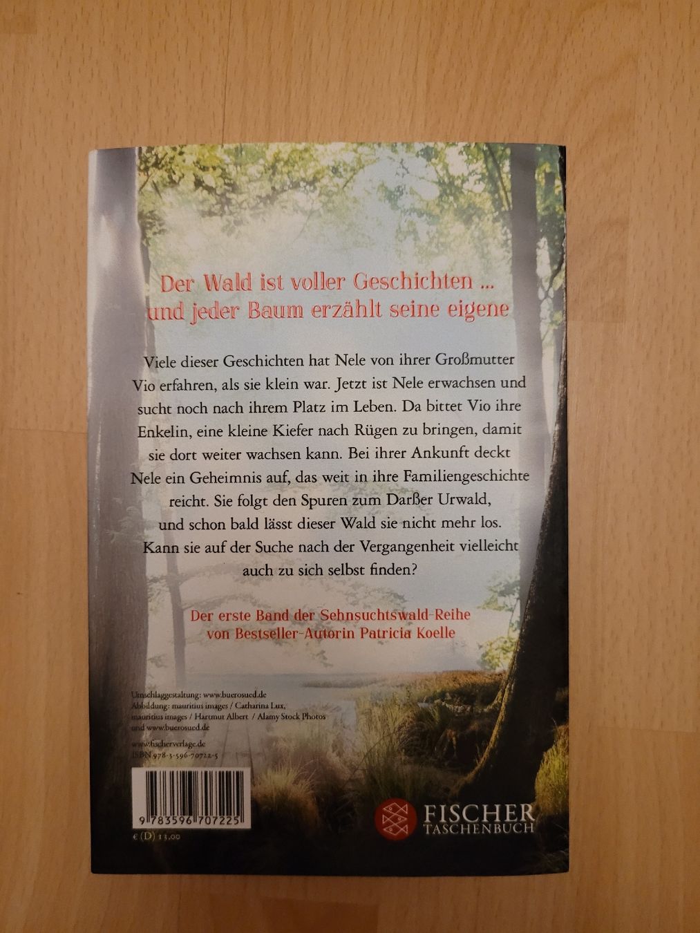 Libri: "Das Licht in den Bäumen" Roman – Usato da Perlen venduto da Safari_23 1