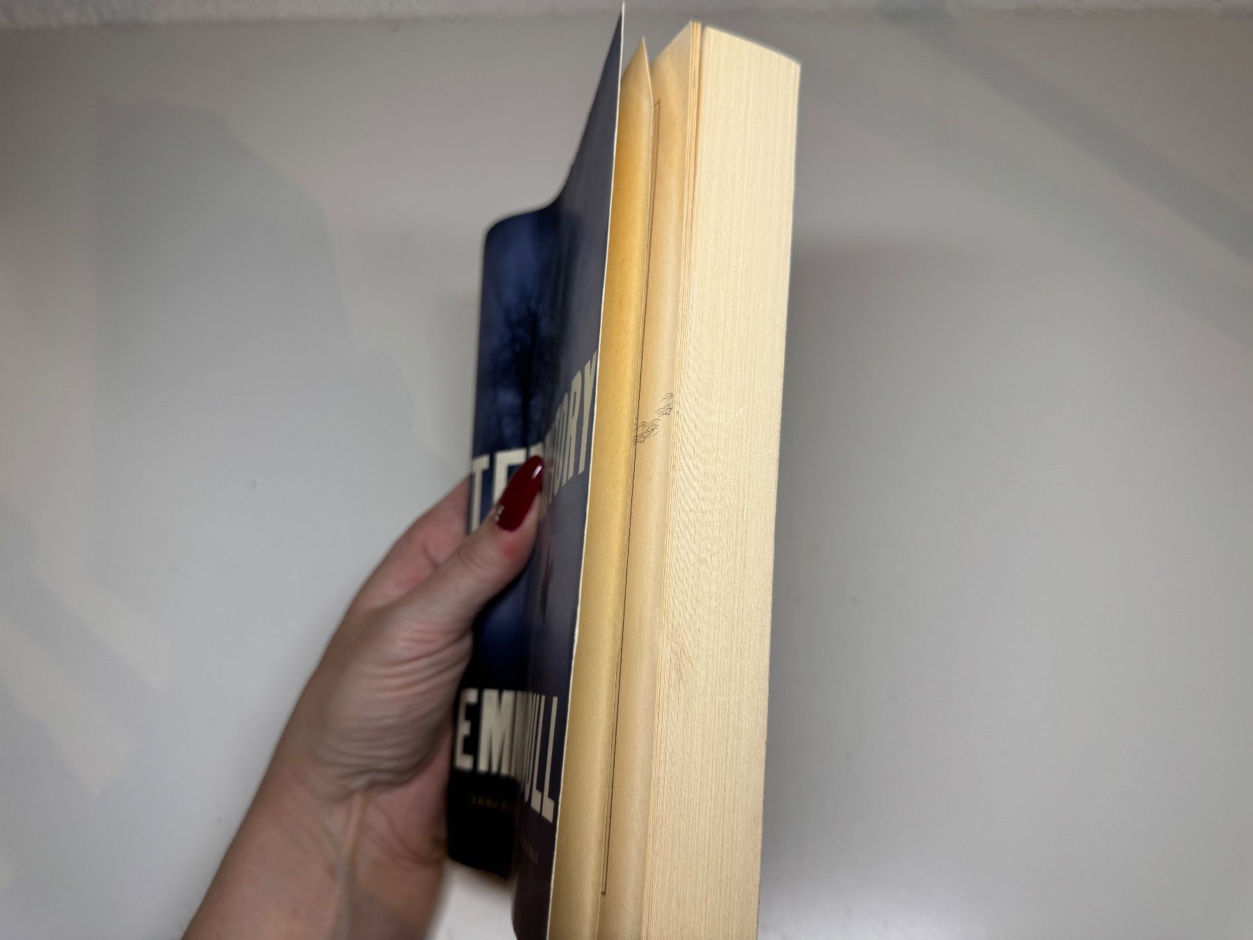 Libri: NOVEL: Emma Bull, Territory – Usato da Grosswangen venduto da English_books 1