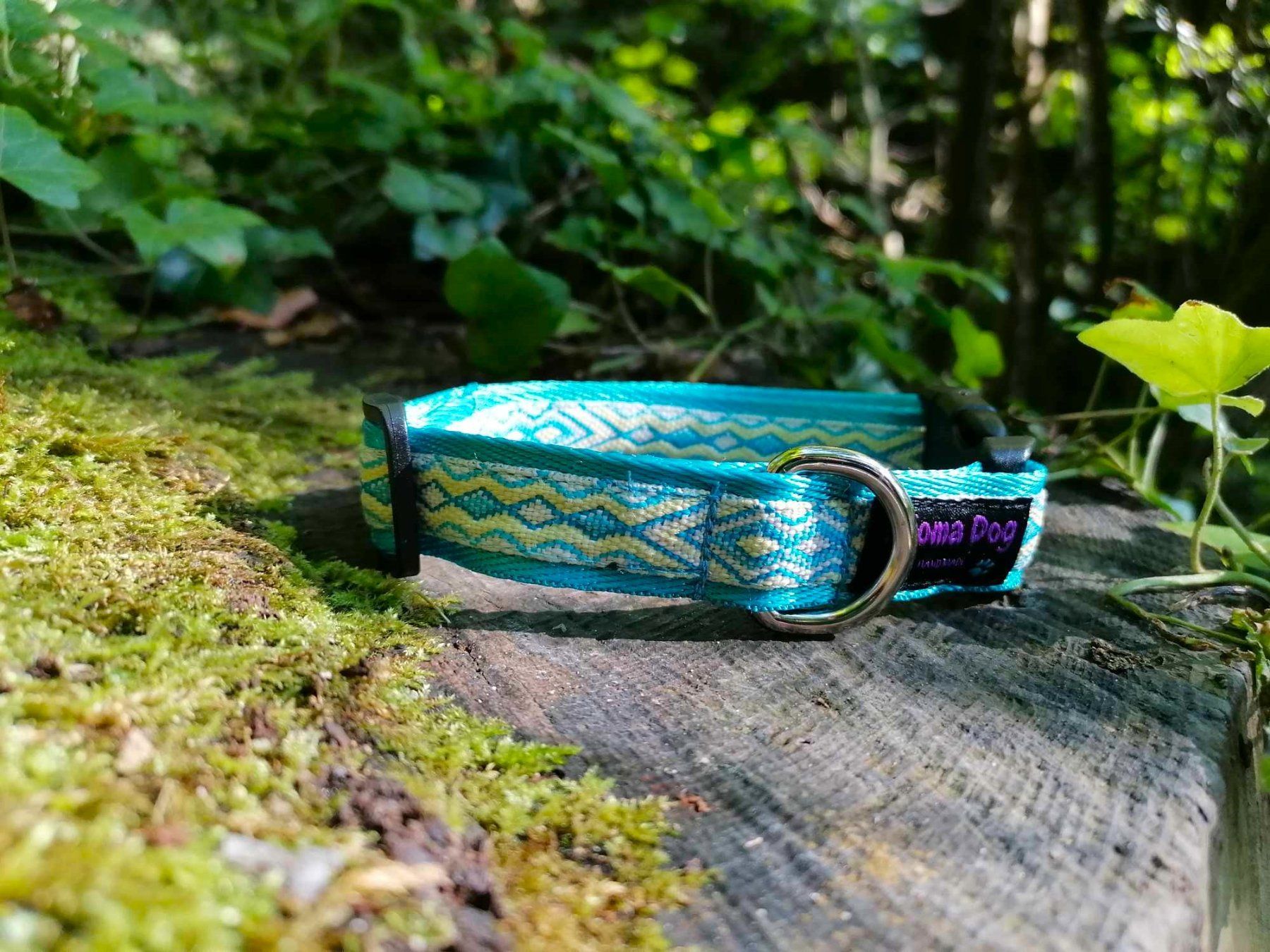 Guinzagli & Collari: Hundehalsband 2cm "Aslan blue" handgemacht – Nuovo e nell'imballaggio originale da Grenchen venduto da KijomaDog 2