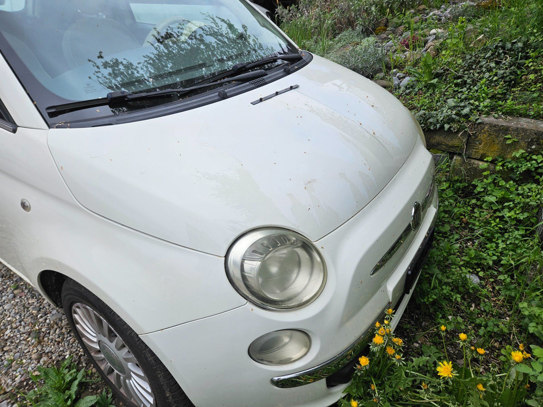 Fiat Automobili: Fiat 500 1.2 – Usato da Oberstammheim venduto da hexli05 7