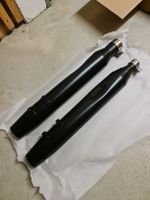 Harley Davidson Street Glide ST Original Auspuff
